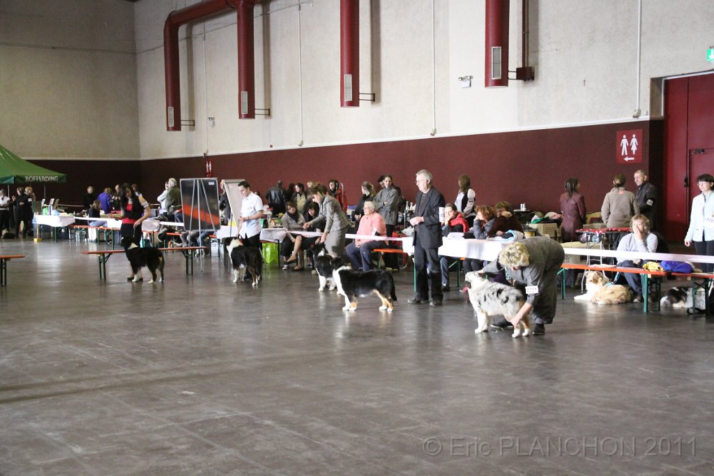 IMG_0068.JPG