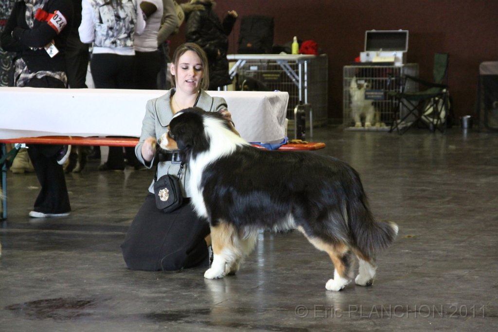 IMG_0290.JPG