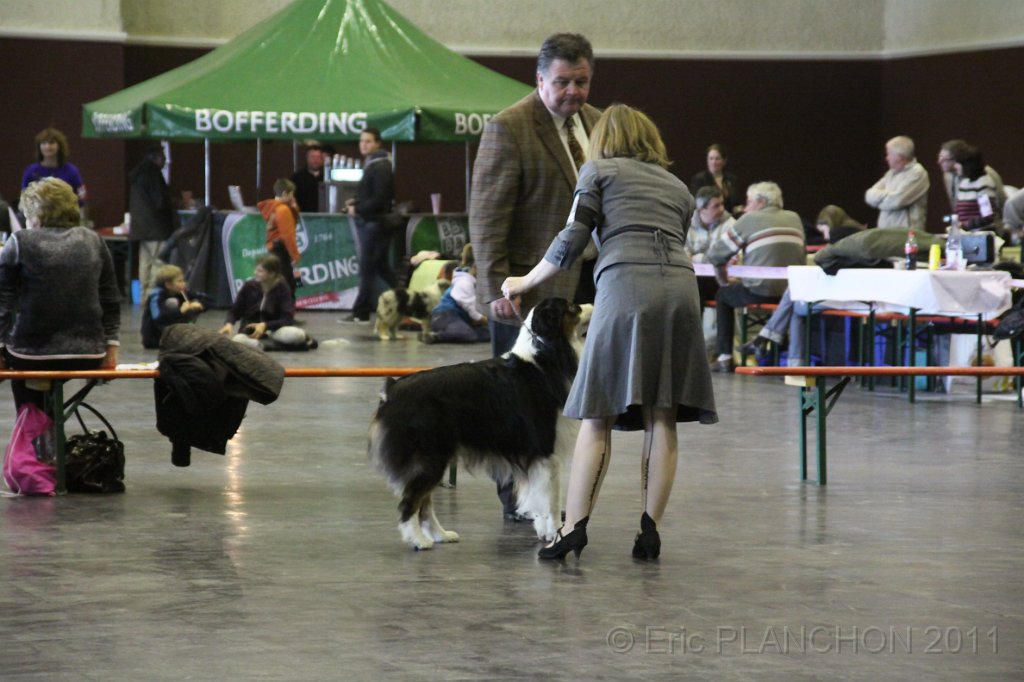 IMG_0302.JPG