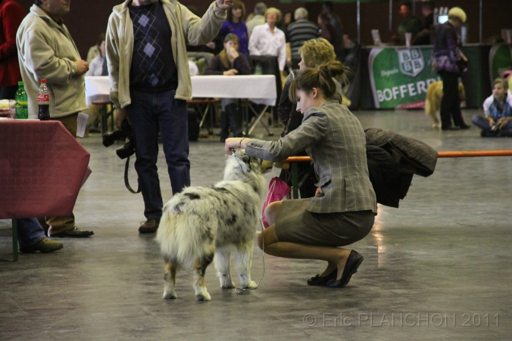 IMG_0436.JPG