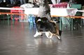 IMG_0015