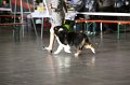 IMG_0018