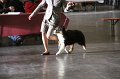 IMG_0024