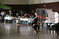 IMG_0025