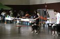 IMG_0026