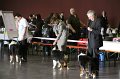 IMG_0029