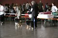 IMG_0031