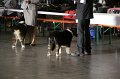 IMG_0032