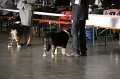 IMG_0033