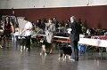 IMG_0034