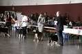 IMG_0035