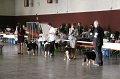 IMG_0036