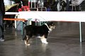 IMG_0037