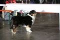 IMG_0038