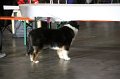 IMG_0040