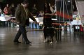 IMG_0041