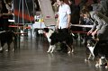 IMG_0042