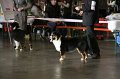 IMG_0044