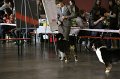IMG_0045