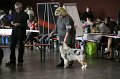 IMG_0049