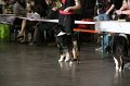 IMG_0051