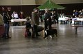 IMG_0055