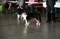 IMG_0069