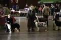 IMG_0073