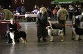 IMG_0074