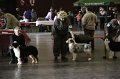 IMG_0075