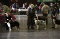 IMG_0077