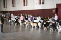 IMG_0096