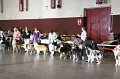 IMG_0098
