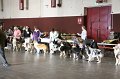 IMG_0099