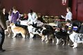 IMG_0100