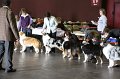 IMG_0101