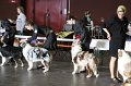 IMG_0104