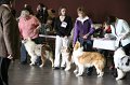 IMG_0111