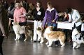 IMG_0113