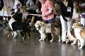 IMG_0116