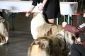 IMG_0125