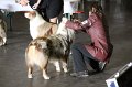 IMG_0127