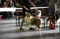 IMG_0135