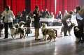 IMG_0146