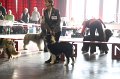 IMG_0149