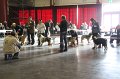 IMG_0150
