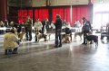 IMG_0151