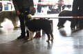 IMG_0153