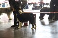 IMG_0154