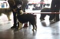 IMG_0155